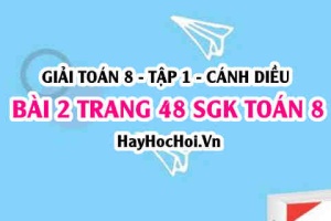 Giải bài 2 trang 48 Toán 8 Tập 1 SGK Cánh Diều